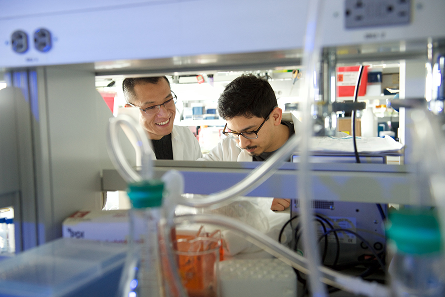 Students and Research Assistants in Dupuy Lab